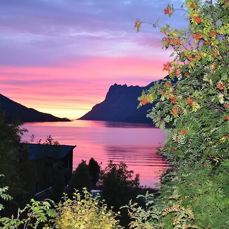 ホテル The Crush Ersfjordbotn エクステリア 写真