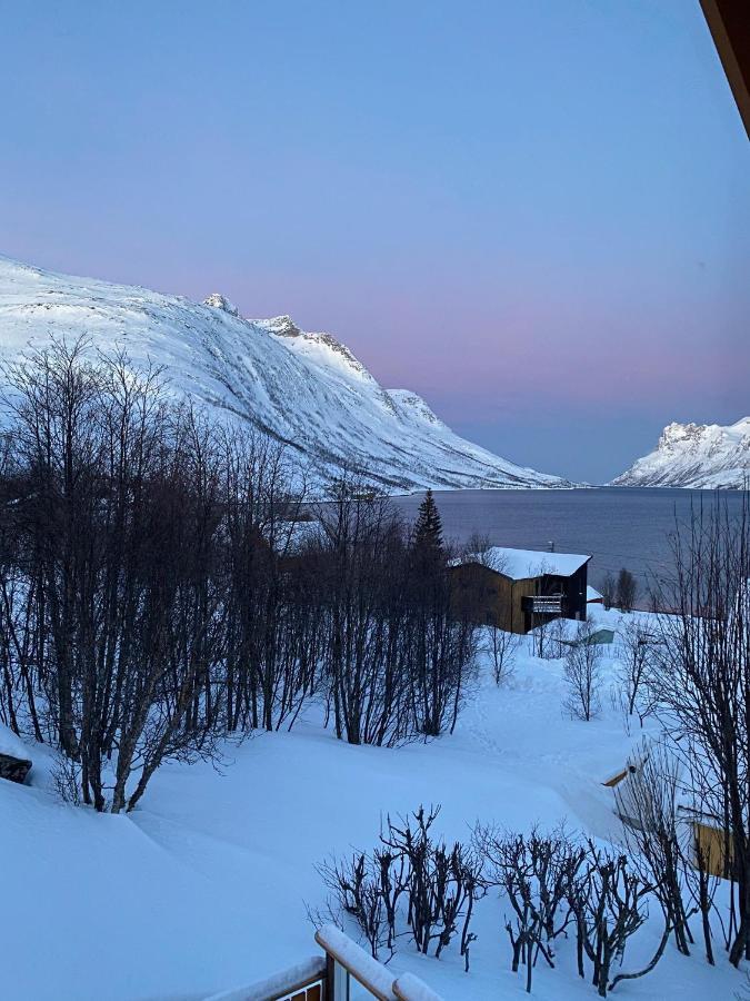 ホテル The Crush Ersfjordbotn エクステリア 写真